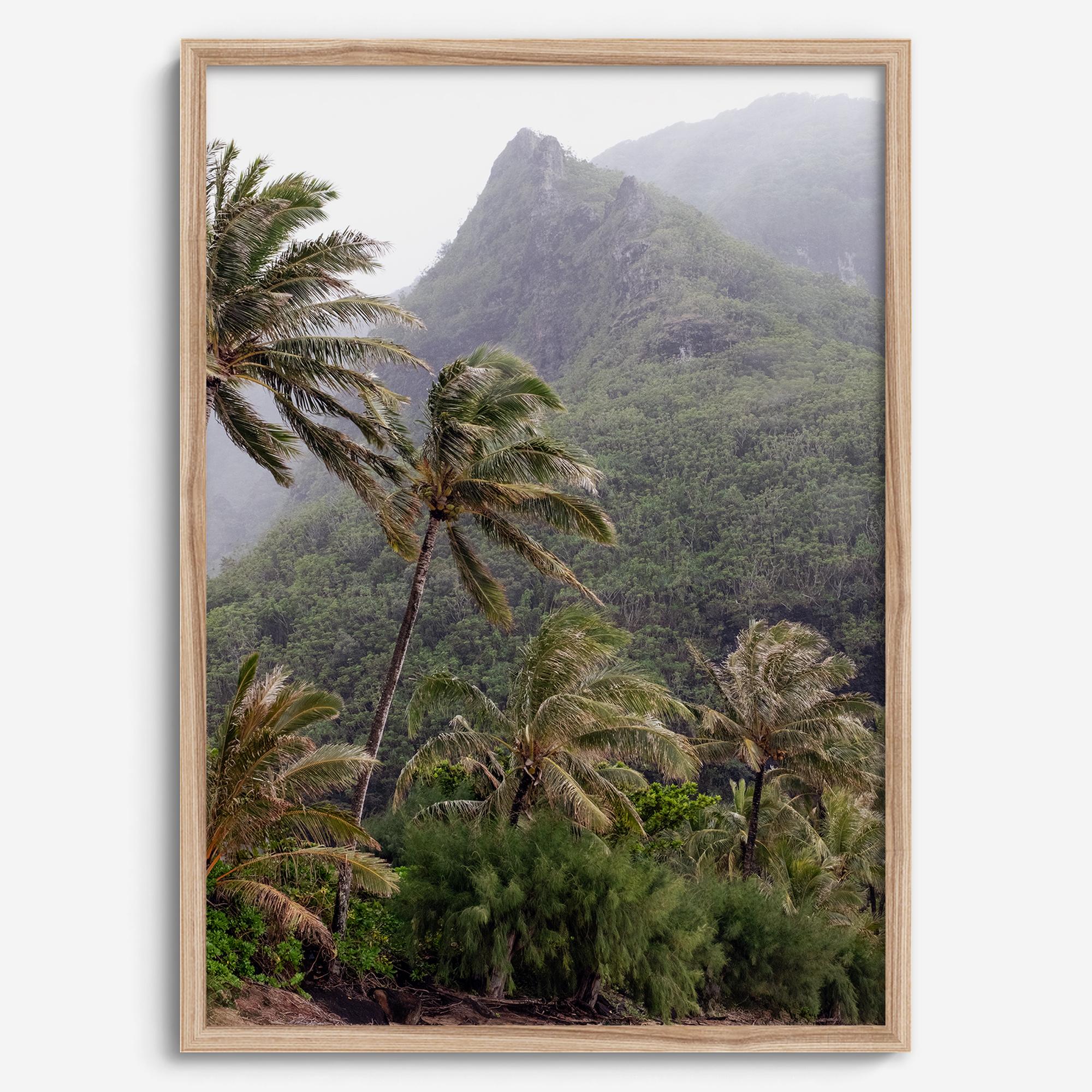 Kauai palm tree wall art featuring tropical palms and misty mountains at Keʻe Beach