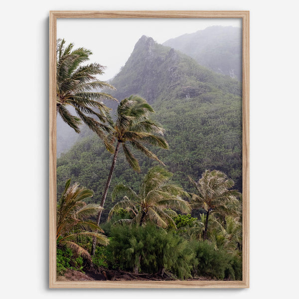 Kauai palm tree wall art featuring tropical palms and misty mountains at Keʻe Beach