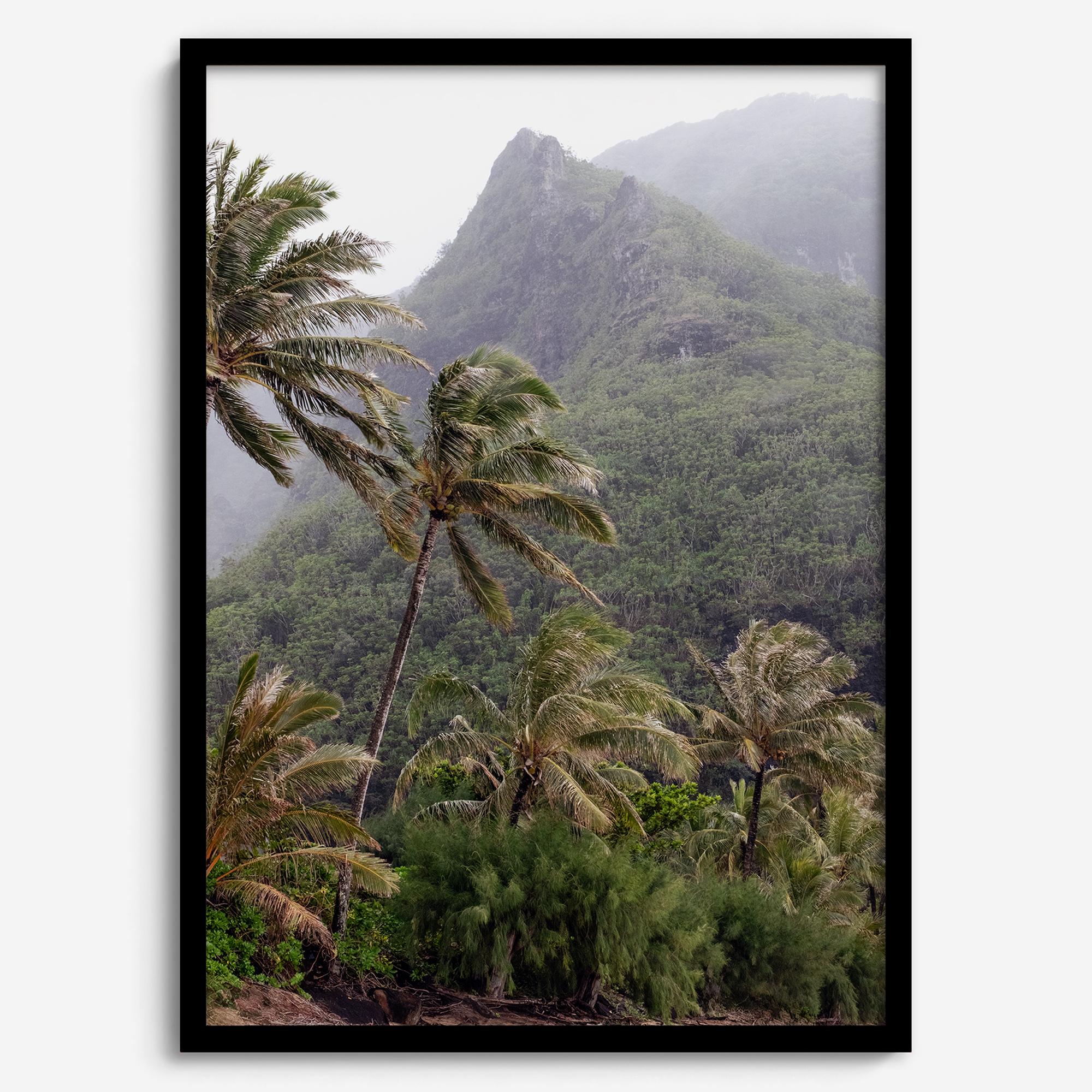 Kauai palm tree wall art featuring tropical palms and misty mountains at Keʻe Beach