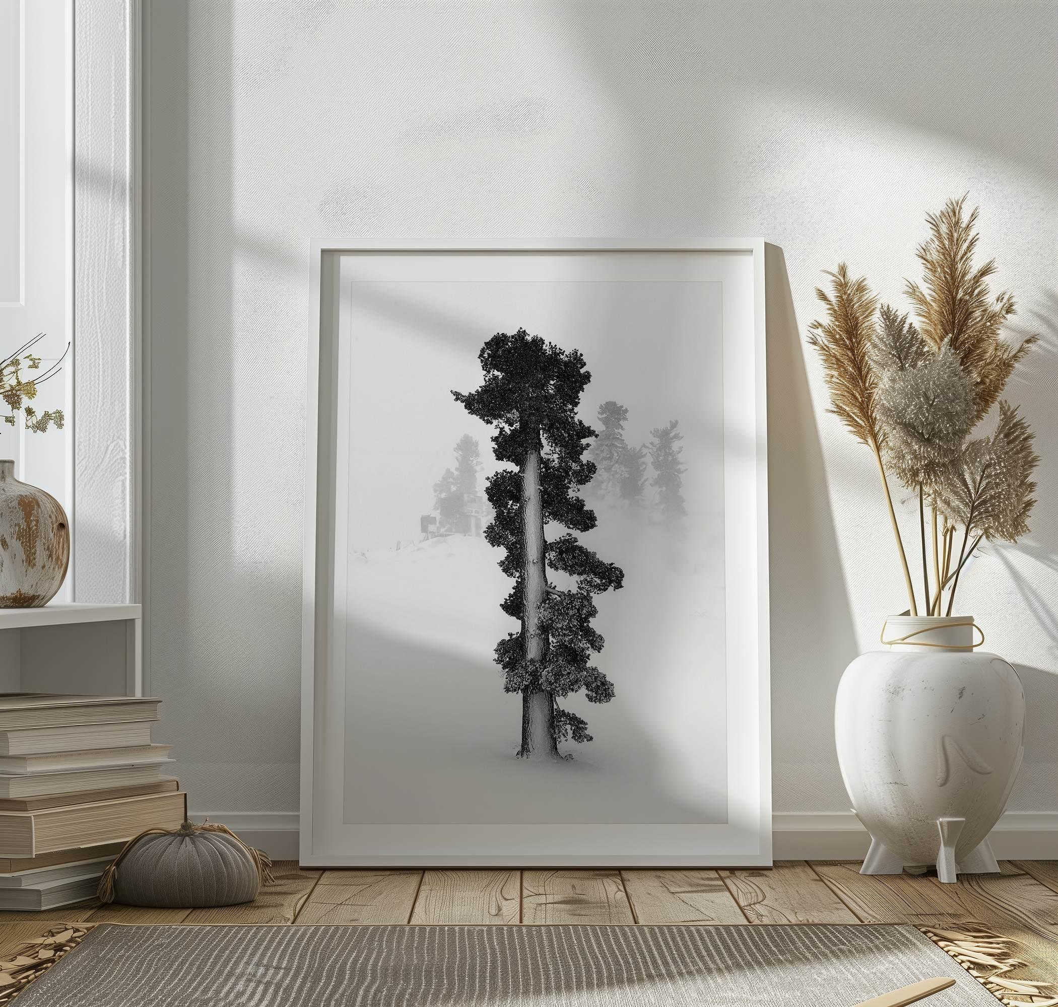 Minimalist Lake Tahoe pine tree in snow, fine art winter photography print.