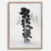 Minimalist Lake Tahoe pine tree in snow, fine art winter photography print.