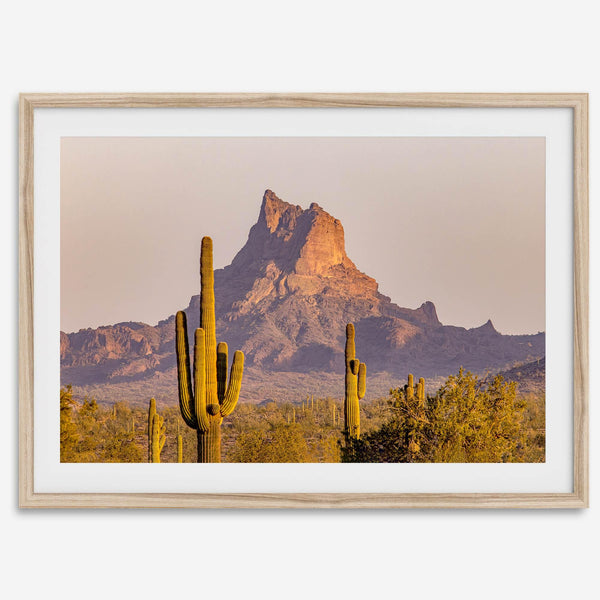 Framed photography print of an Arizona desert landscape with saguaro cacti and a sunlit mountain.