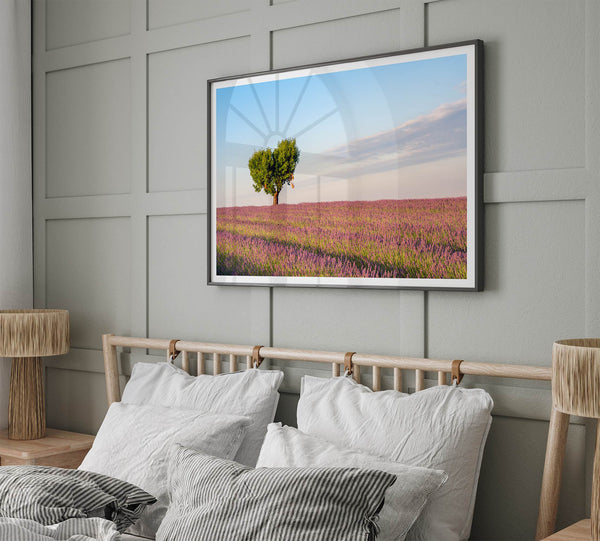 Fine art photograph of a heart shaped tree surrounded by lavender fields in Provence, France beneath a soft blue sky.