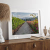 High-quality fine art print of a California vineyard landscape with rolling hills in the background.