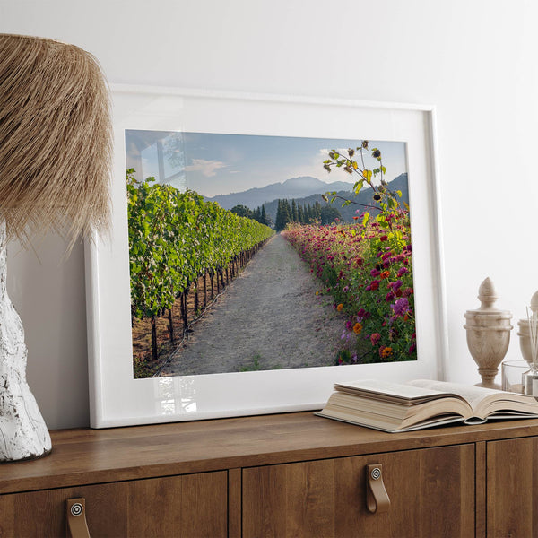 High-quality fine art print of a California vineyard landscape with rolling hills in the background.