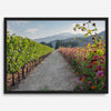High-quality fine art print of a California vineyard landscape with rolling hills in the background.