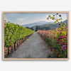 High-quality fine art print of a California vineyard landscape with rolling hills in the background.