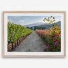 High-quality fine art print of a California vineyard landscape with rolling hills in the background.