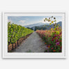High-quality fine art print of a California vineyard landscape with rolling hills in the background.
