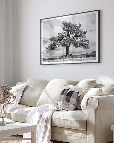 nature-wall-art-collection