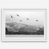 northwest coast pelicans black and white beach photography print.