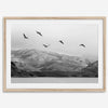 northwest coast pelicans black and white beach photography print.