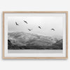 northwest coast pelicans black and white beach photography print.