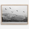 northwest coast pelicans black and white beach photography print.