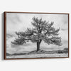 Close-up of black and white canvas texture showing detailed tree branches in scenic mountain setting.