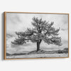 Close-up of black and white canvas texture showing detailed tree branches in scenic mountain setting.