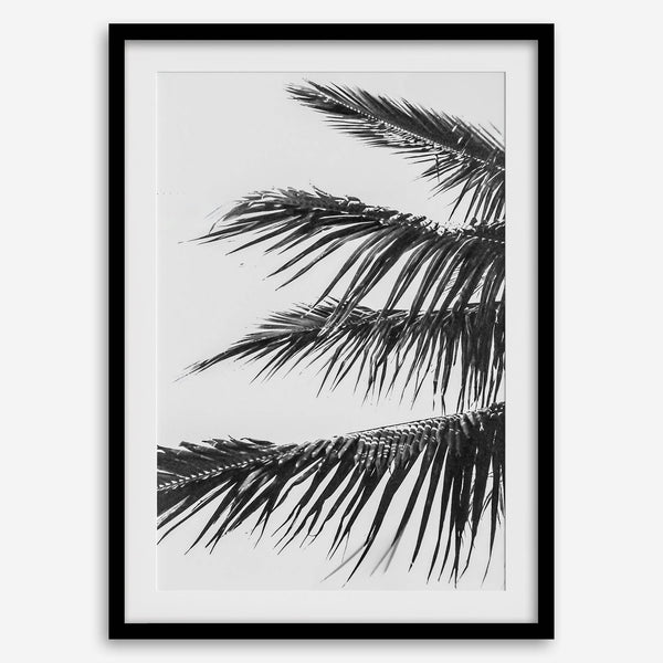 palm leaf black and white wall art