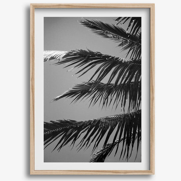 Black and white palm leaf wall art from Big Island Hawaii for modern coastal beach house wall art decor.