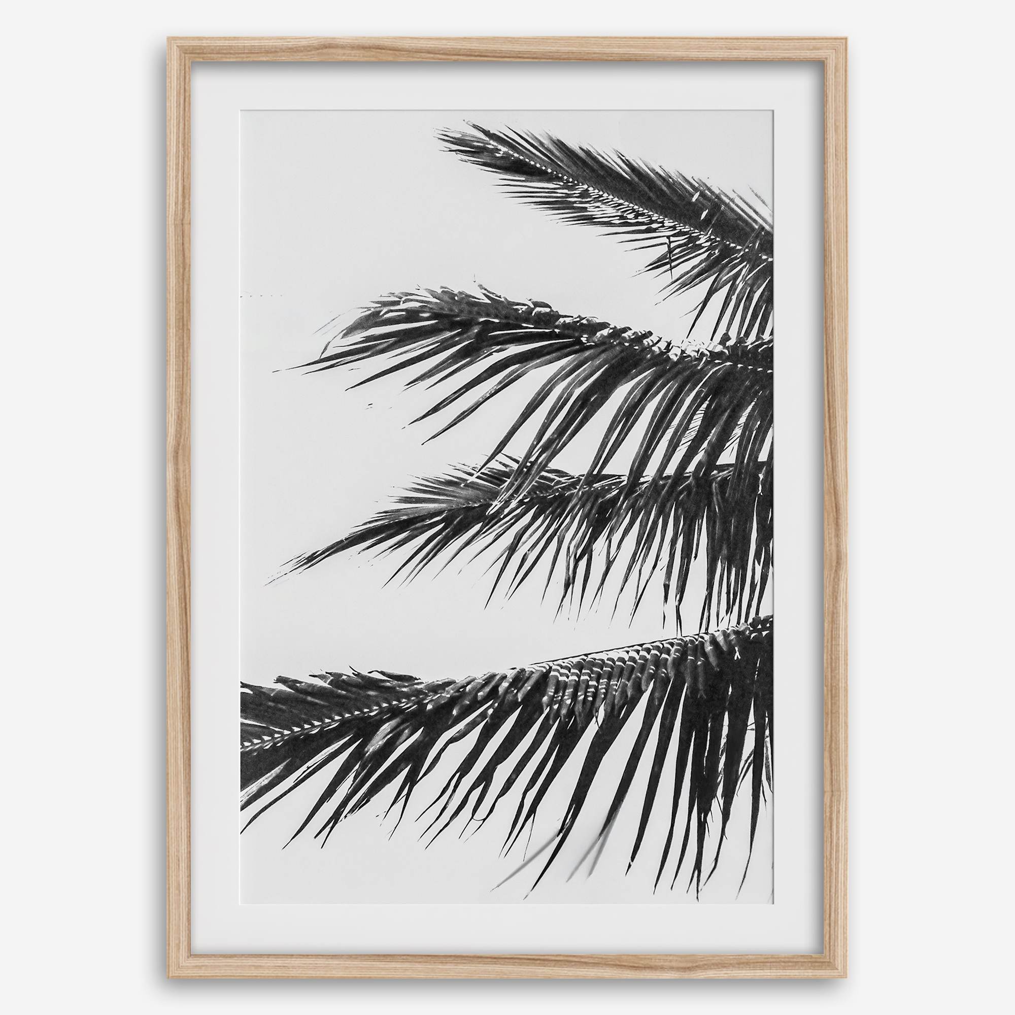 palm leaf black and white wall art