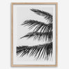 palm leaf black and white wall art