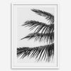 palm leaf black and white wall art