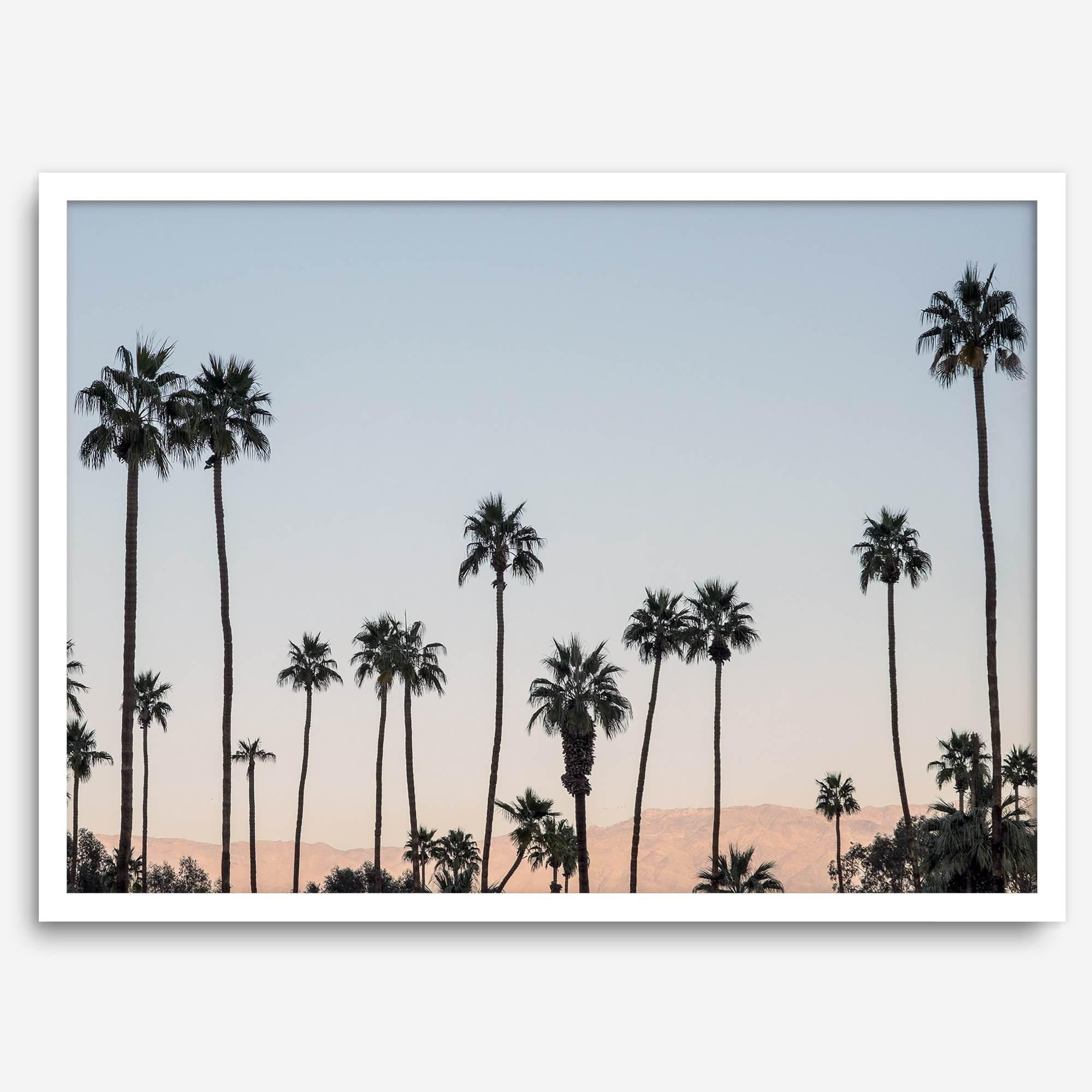 Silhouetted palm trees in Palm Springs under a clear blue sky with pink desert mountains in background