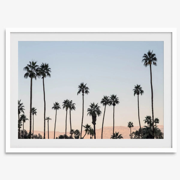 Silhouetted palm trees in Palm Springs under a clear blue sky with pink desert mountains in background