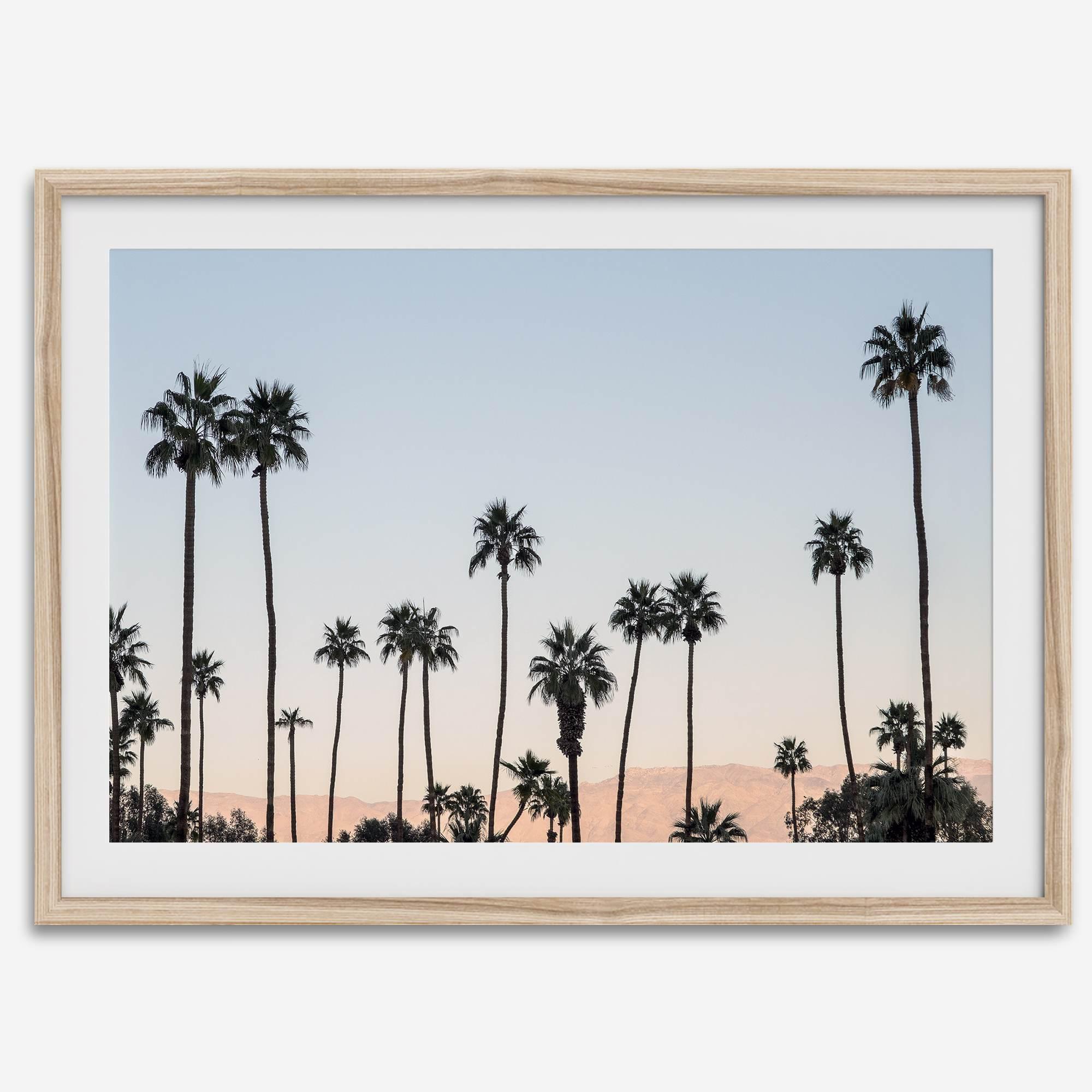 Silhouetted palm trees in Palm Springs under a clear blue sky with pink desert mountains in background