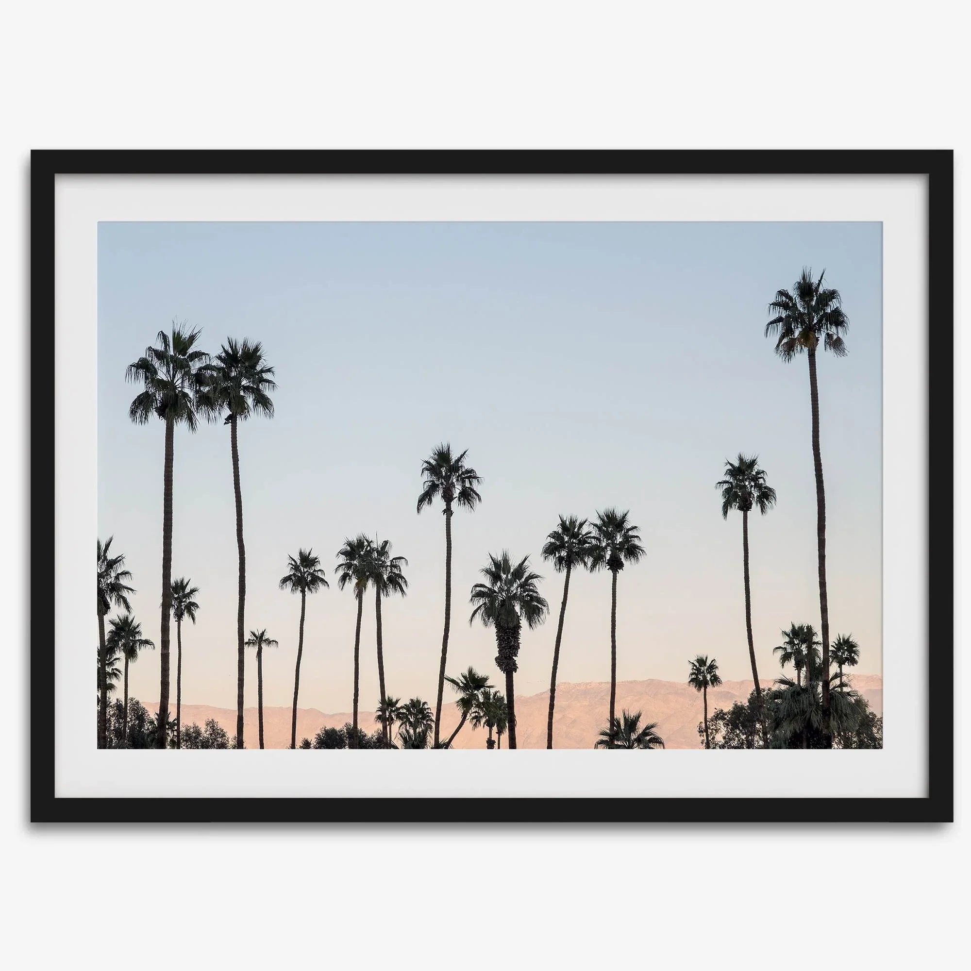 Silhouetted palm trees in Palm Springs under a clear blue sky with pink desert mountains in background