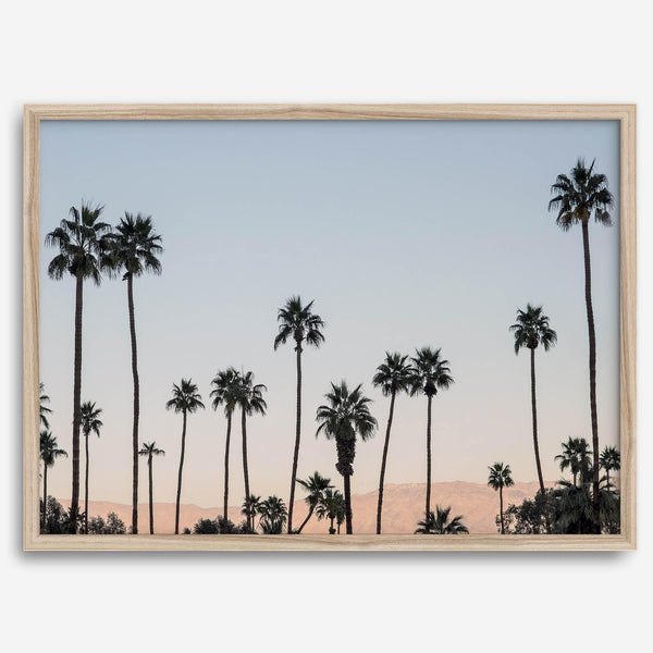 Silhouetted palm trees in Palm Springs under a clear blue sky with pink desert mountains in background