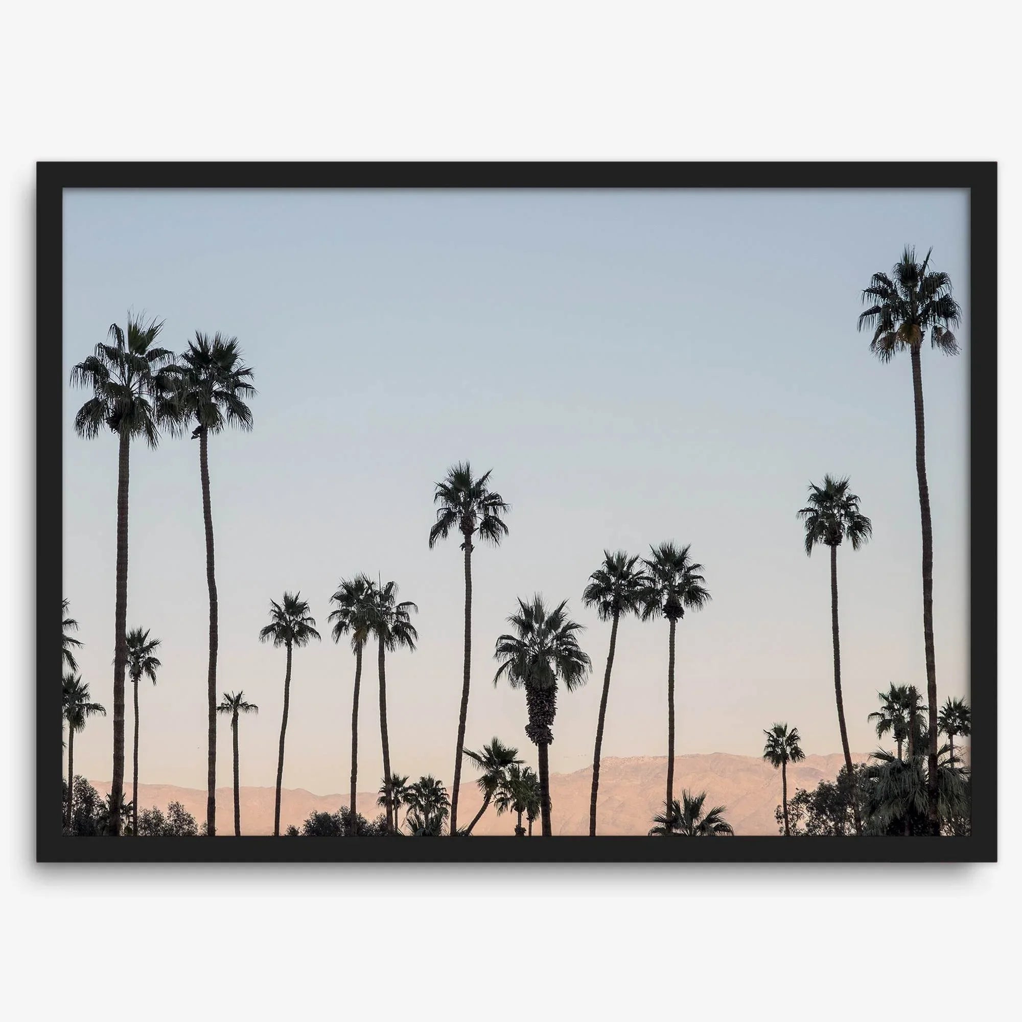 Silhouetted palm trees in Palm Springs under a clear blue sky with pink desert mountains in background
