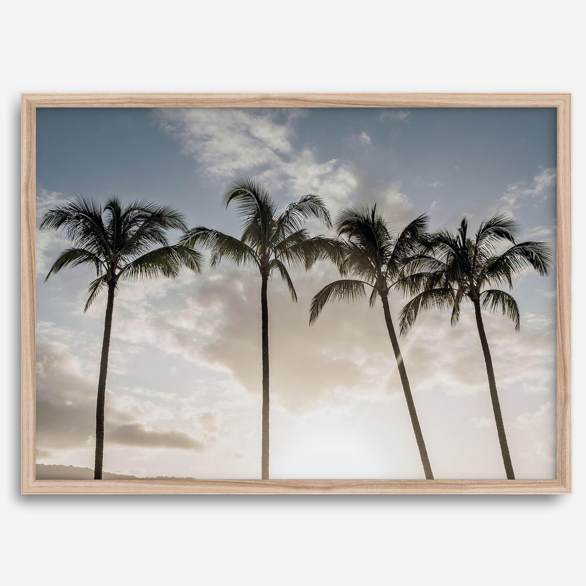 Sunset over palm trees in Kauai with golden sky and tropical landscape for wall decor