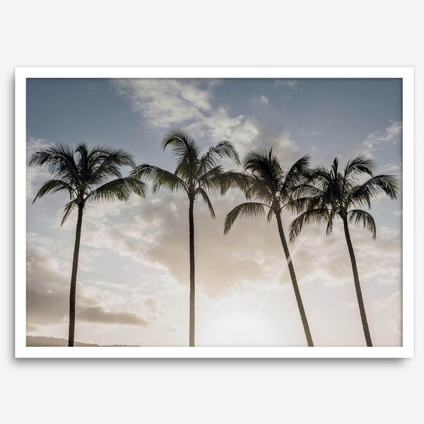 Sunset over palm trees in Kauai with golden sky and tropical landscape for wall decor