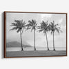 Black and white canvas print of four tall palm trees on Hanalei Bay beach in Kauai, with mountains and cloudy sky in the background.