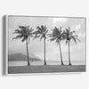 Black and white canvas print of four tall palm trees on Hanalei Bay beach in Kauai, with mountains and cloudy sky in the background.