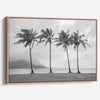 Black and white canvas print of four tall palm trees on Hanalei Bay beach in Kauai, with mountains and cloudy sky in the background.