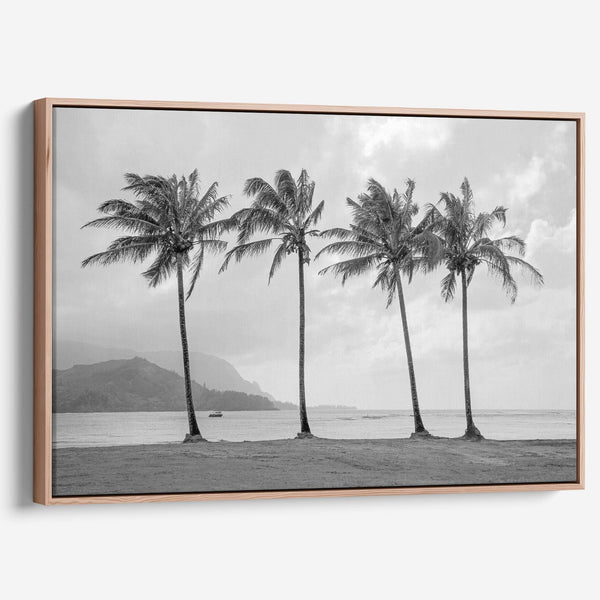 Black and white canvas print of four tall palm trees on Hanalei Bay beach in Kauai, with mountains and cloudy sky in the background.