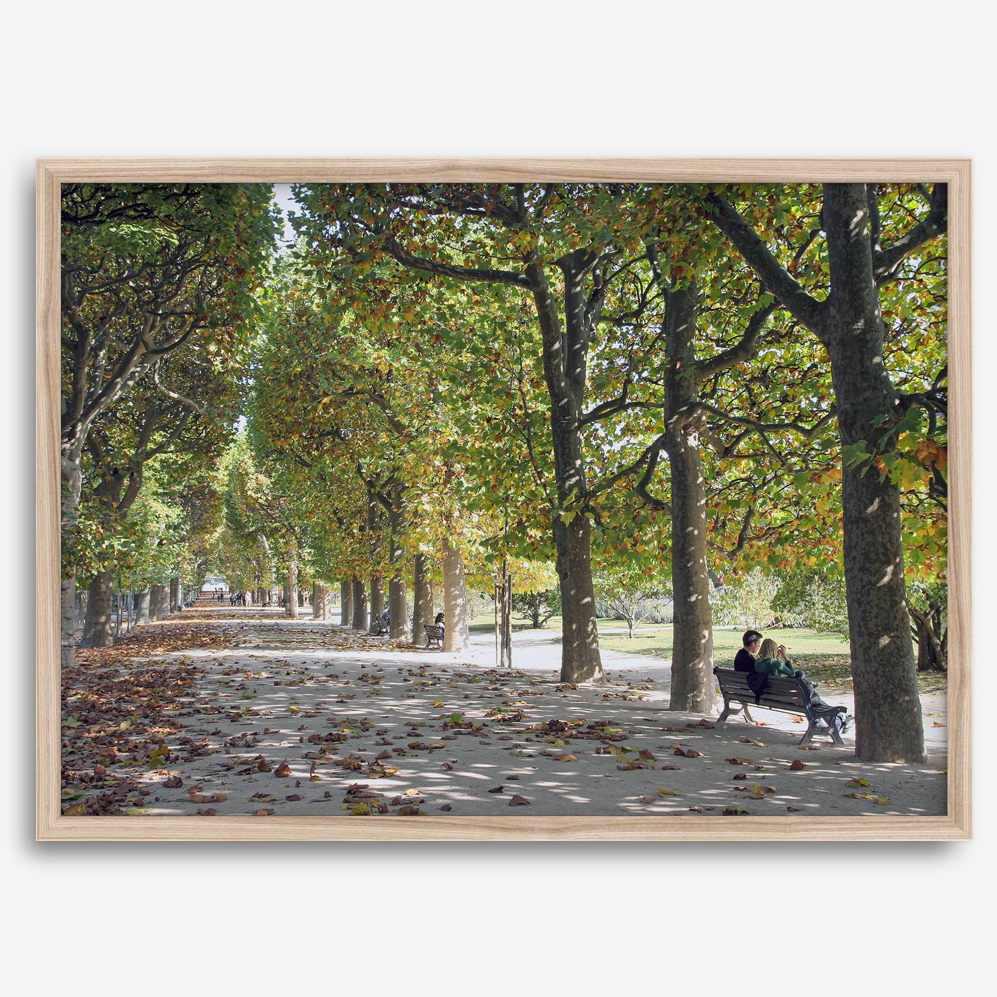A fine art Paris print of Jardin des Tuileries in fall, featuring a couple sitting on a bench beneath vibrant autumn trees, surrounded by golden foliage.