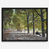 A fine art Paris print of Jardin des Tuileries in fall, featuring a couple sitting on a bench beneath vibrant autumn trees, surrounded by golden foliage.