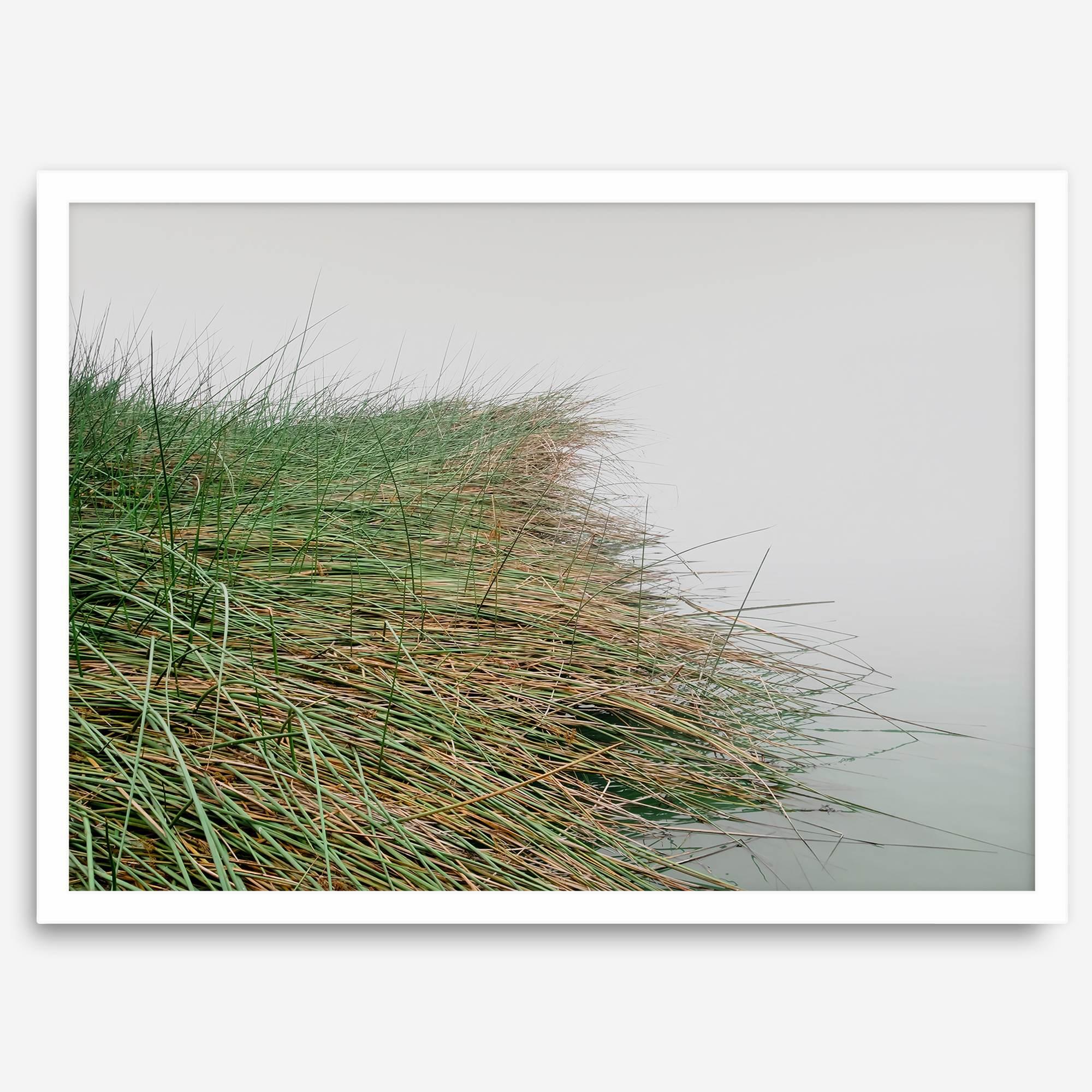 Minimalist nature artwork of coastal grasses leaning towards calm water on a misty day