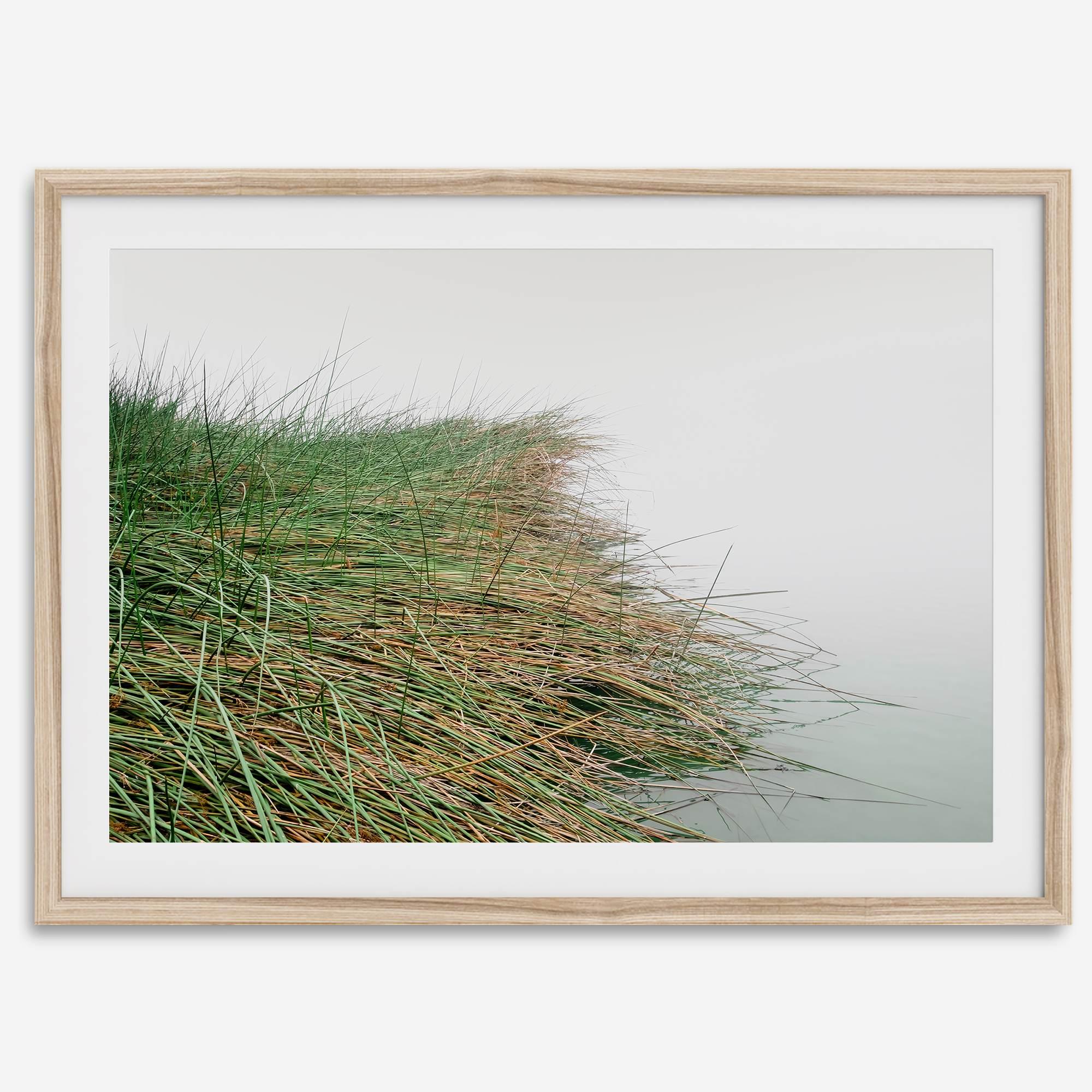 Minimalist nature artwork of coastal grasses leaning towards calm water on a misty day