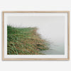 Minimalist nature artwork of coastal grasses leaning towards calm water on a misty day