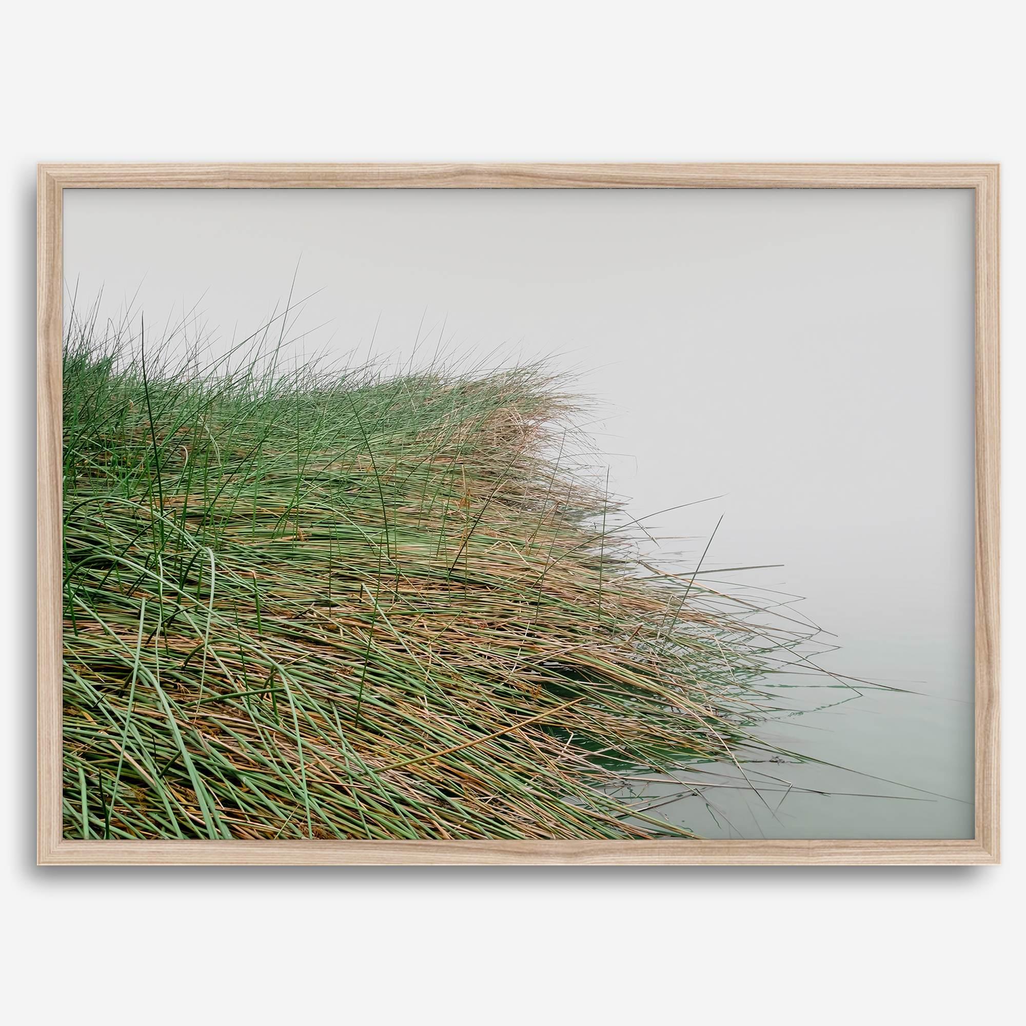 Minimalist nature artwork of coastal grasses leaning towards calm water on a misty day