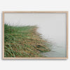 Minimalist nature artwork of coastal grasses leaning towards calm water on a misty day