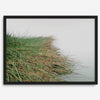 Minimalist nature artwork of coastal grasses leaning towards calm water on a misty day