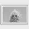 Black-and-white cactus print featuring a windswept cool cactus with sunglasses in a minimalist desert setting.