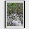 Fine Art Nature Forest Print - Forest River Calming Wall Art, Large Forest Artwork, Framed or Unframed Yosemite Park Poster for Home Decor