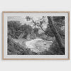 Black and white photo of McWay Falls flowing into the Pacific Ocean at Big Sur, California – fine art coastal print