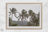 Tropical beach palm tree art with lush green palms against a misty hillside in coastal landscape