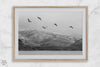 northwest coast pelicans black and white beach photography print.